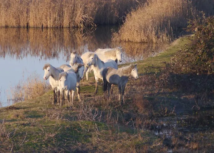 شقة Astoria ليدو ديلي ايستينسي