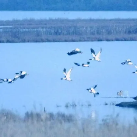 Astoria Διαμέρισμα