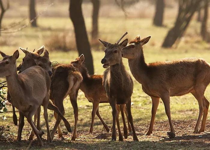 Lägenhet Astoria Llido Degli Estensi